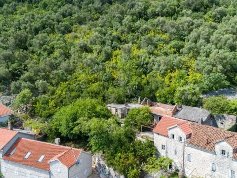 Prodaja, kuća, Dražin Vrt, Kotor - image 10