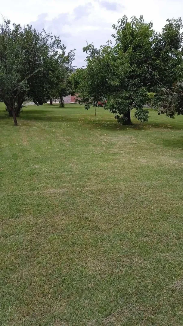Sale, house, 350m², Tološi, Podgorica