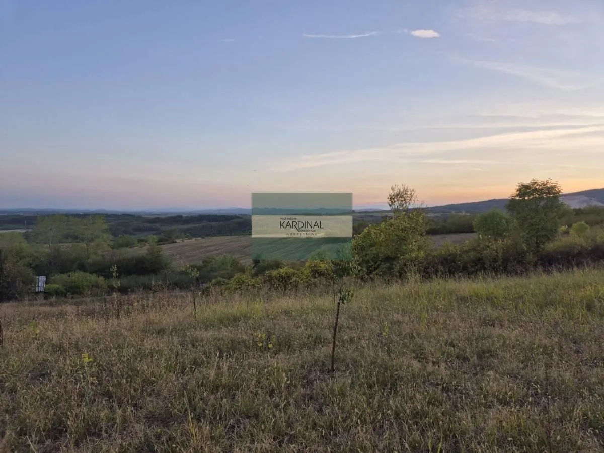 Prodaja, plac, 27920m², Siokovac, Jagodina