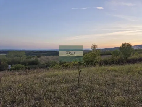 Prodaja, plac, 27920m², Siokovac, Jagodina - image 7