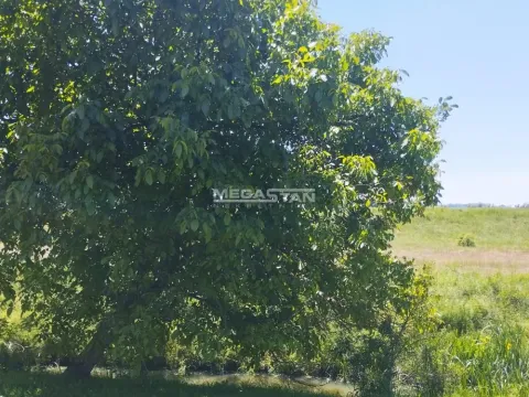 Sale, house, 430m², Krnjaca, Palilula Sve Podlokacije - image 14