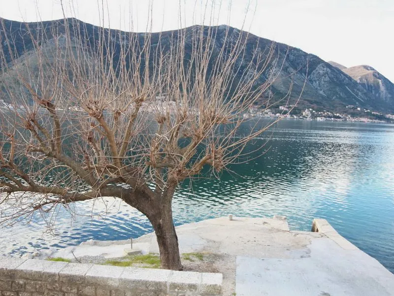 Sale, house, 220m², Dobrota, Kotor
