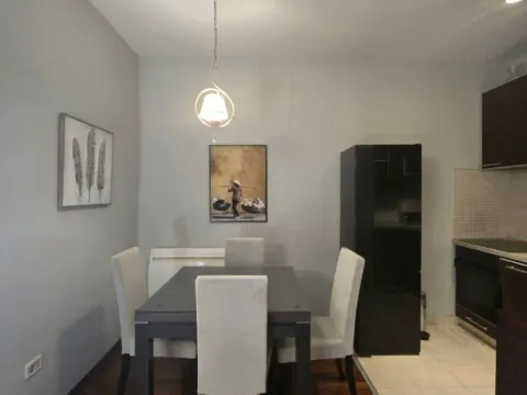 Izdavanje, jednosoban stan, 55m², Preko Morače, Podgorica - image 7