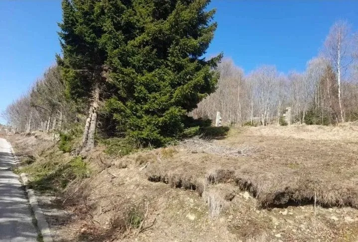 Prodaja, plac, 4200m², Raška, Srbija