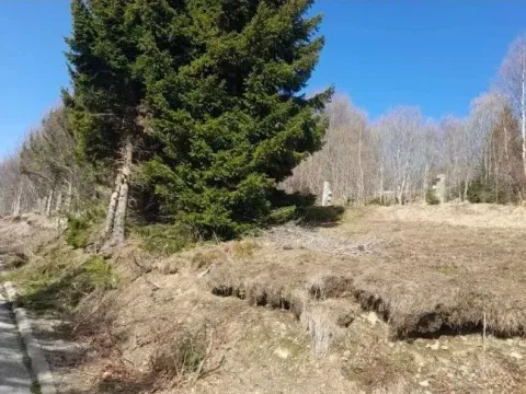 Prodaja, plac, 4200m², Raška, Srbija - image 13