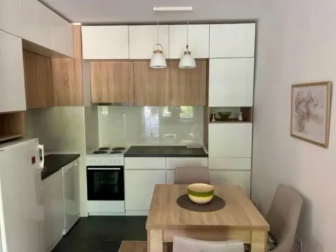 Izdavanje, jednosoban stan, 38m², Blok 5, Podgorica - image 9