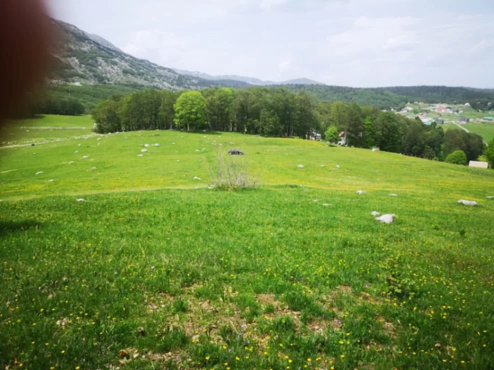 Prodaja, plac, 1708m², Pošćenski Kraj, Žabljak