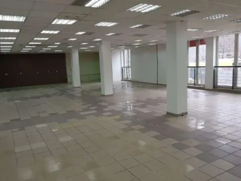 Izdavanje, poslovni prostor, 500m², Zemun Centar, Zemun Sve Podlokacije - image 2