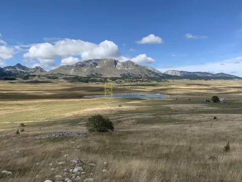 Prodaja, plac, 500m², Novakovići, Žabljak - image 3