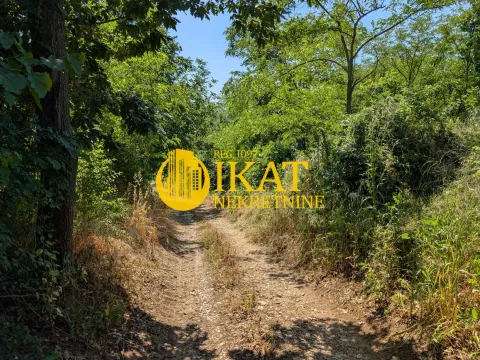 Prodaja, plac, 7000m², Mali Požarevac, Sopot - image 2