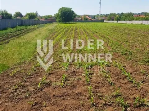 Prodaja, plac, 9765m², Surčin, Beograd - image 2