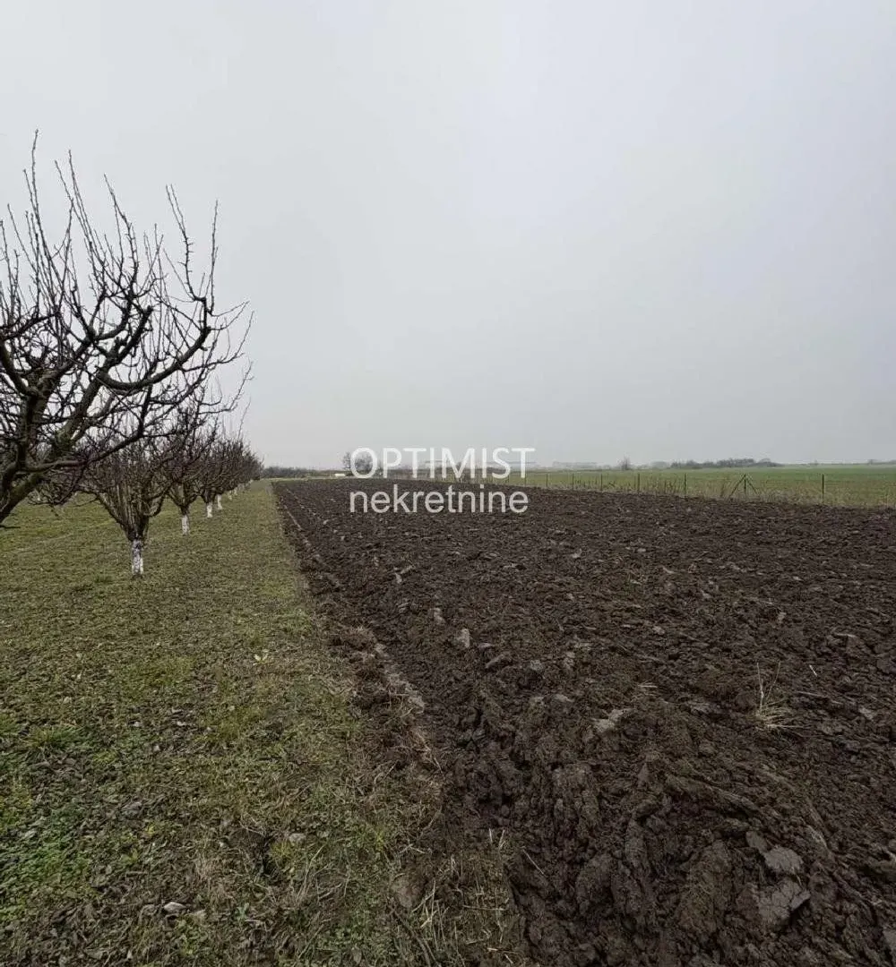 Prodaja, plac, 11000m², Zemun Ugrinovci, Zemun Sve Podlokacije
