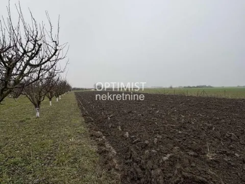 Sale, land lot, 11000m², Zemun Ugrinovci, Zemun Sve Podlokacije - image 5
