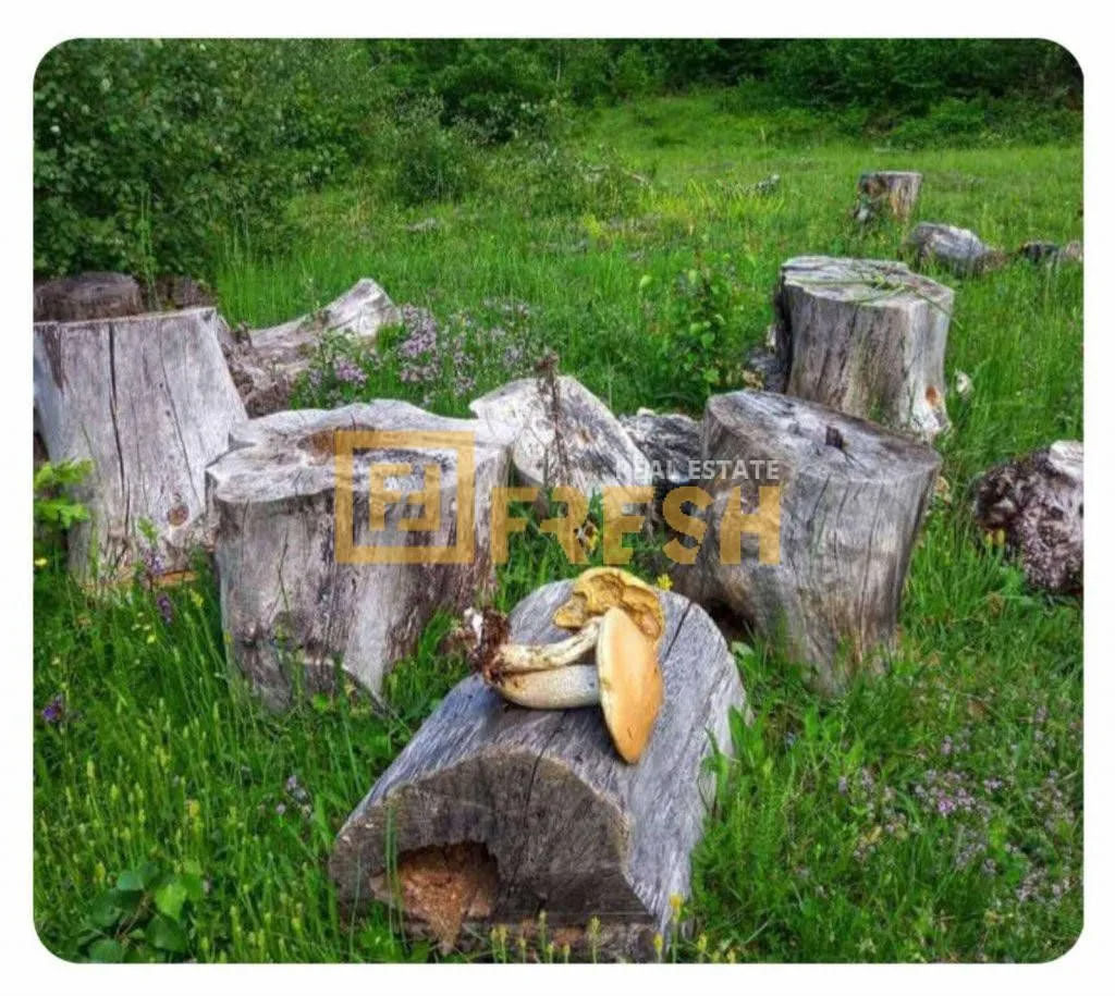 Prodaja, plac, 6000m², Berane, Crna Gora