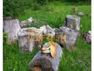 Prodaja, plac, 6000m², Berane, Crna Gora - image 6