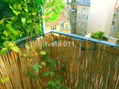 Sale, one bedroom apartment, 33m², Stari Grad, Beograd - image 10