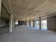 Izdavanje, poslovni prostor, 1400m², Veternik, Novi Sad Sve Podlokacije - image 2