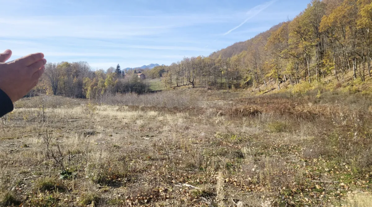 Prodaja, plac, 1000m², Žirci, Kolašin