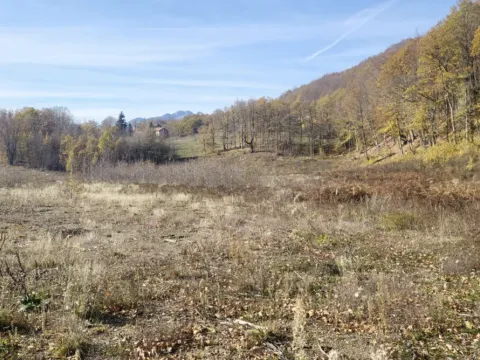 Sale, land lot, 1000m², Žirci, Kolašin - image 7