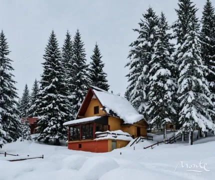Prodaja, kuća, 117m², Žabljak, Crna Gora - image 5