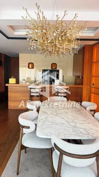 Rent, four bedroom apartment, 275m², Vračar Hram, Vračar Sve Podlokacije