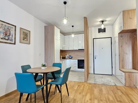 Izdavanje, jednosoban stan, 46m², Stari Aerodrom, Podgorica - image 4