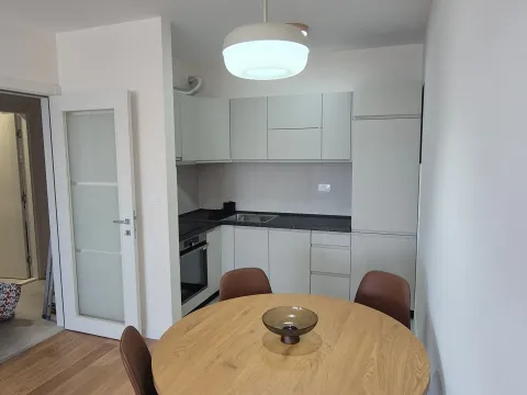 Rent, one bedroom apartment, 49m², Central Point, Podgorica - image 10