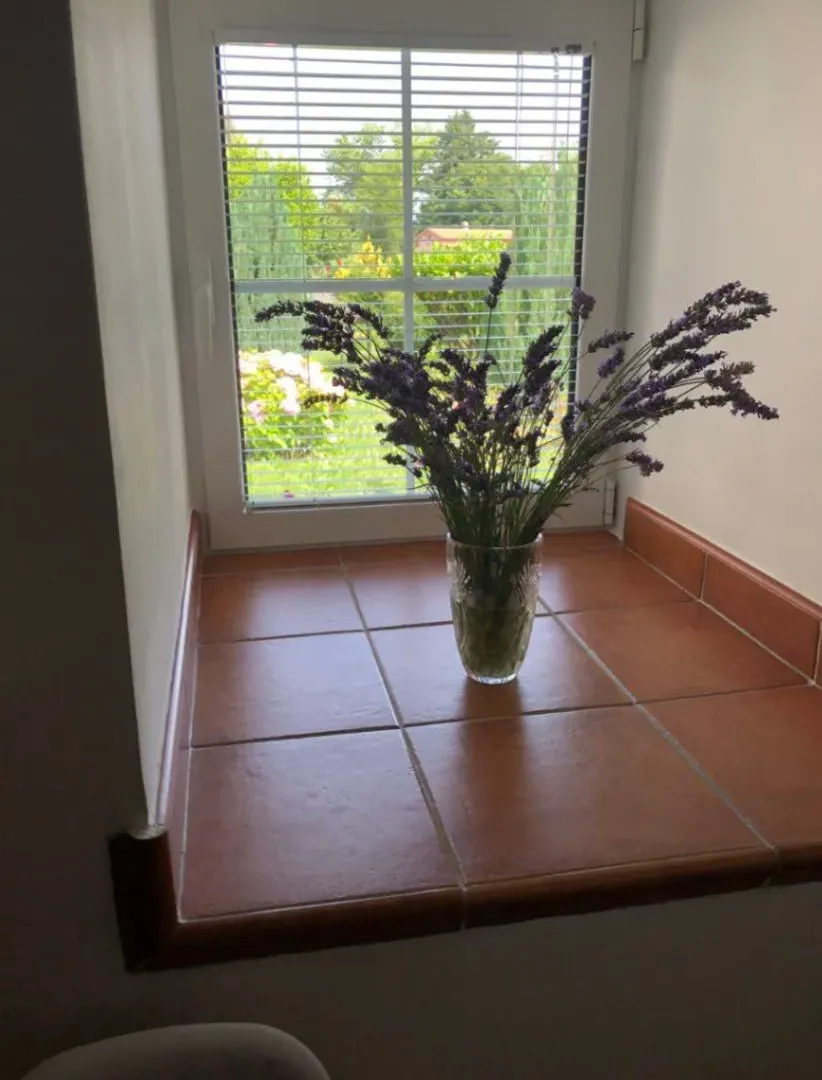 Rent, house, 80m², Centar, Cetinje