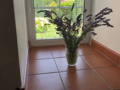 Izdavanje, kuća, 80m², Centar, Cetinje - image 4