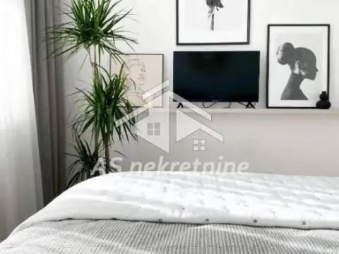 Izdavanje, dvosoban stan, 56m², Savski Venac, Beograd - image 14