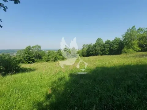 Prodaja, plac, 23000m², Mladenovac, Beograd - image 4