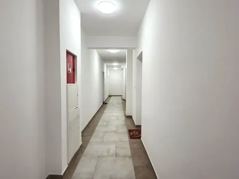 Rent, apartment, 43m², Zabjelo, Podgorica - image 13