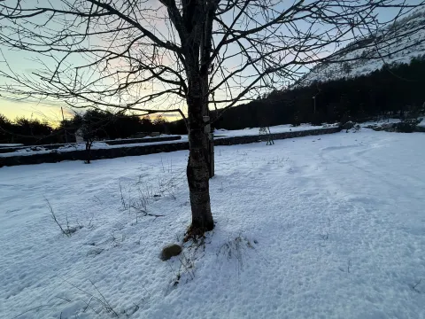 Prodaja, kuća, 100m², Kuči, Podgorica - image 5