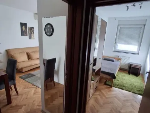 Izdavanje, dvosoban stan, 34m², Nova Detelinara, Novi Sad Sve Podlokacije - image 3