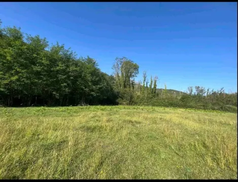 Sale, land lot, 5181m², Ćurilac, Danilovgrad - image 6