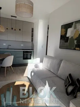 Rent, one bedroom apartment, 40m², Tološi, Podgorica - image 4