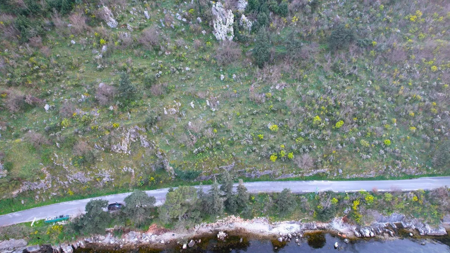 Prodaja, plac, 19000m², Stoliv, Kotor