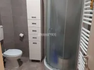 Izdavanje, dvosoban stan, 40m², Ledine, Beograd - image 15