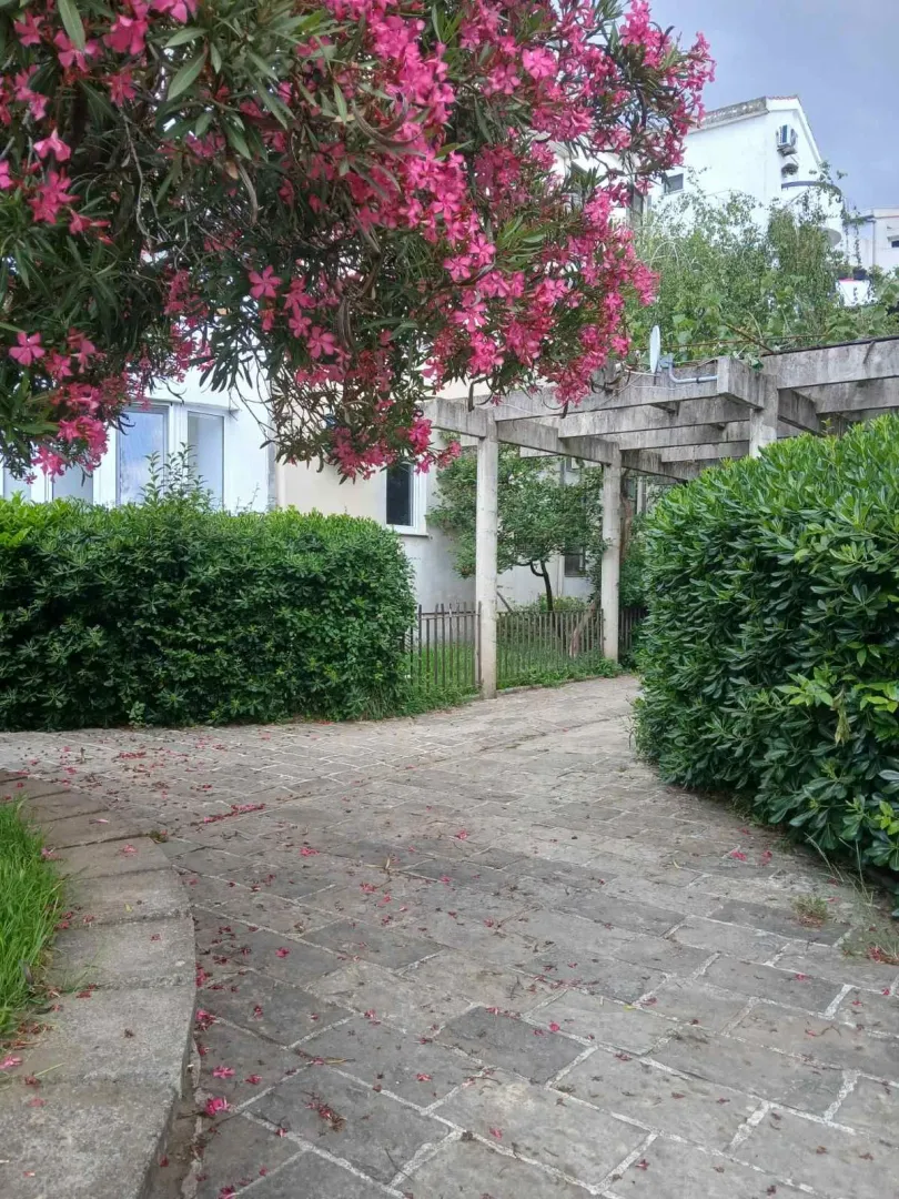 Paved courtyard with lush greenery, a wooden pergola, and flowers.