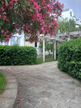 Paved courtyard with lush greenery, a wooden pergola, and flowers. - image 12