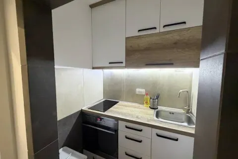 Rent, two bedroom apartment, 40m², Lisičji Potok, Beograd - image 4