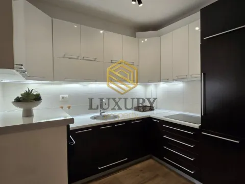 Izdavanje, jednosoban stan, 46m², Dalmatinska ulica, Podgorica - image 9