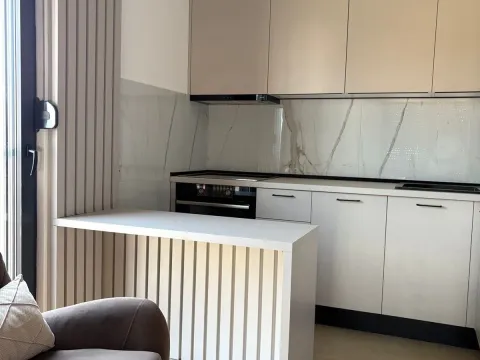 Izdavanje, jednosoban stan, 39m², Zabjelo, Podgorica - image 4