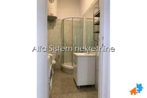 Izdavanje, dvosoban stan, 56m², Vračar Centar, Vračar Sve Podlokacije - image 11