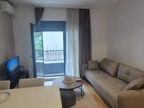 Rent, studio apartment, 26m², Zagorič, Podgorica - image 8