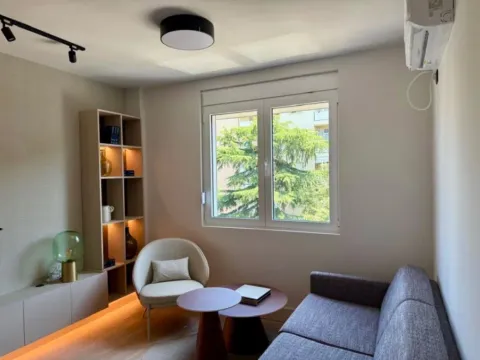 Izdavanje, jednosoban stan, 40m², Preko Morače, Podgorica - image 7