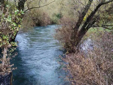 Prodaja, plac, 10000m², Danilovgrad, Crna Gora - image 3