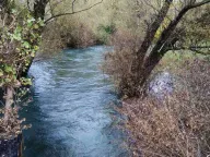 Prodaja, plac, 10000m², Danilovgrad, Crna Gora - image 3