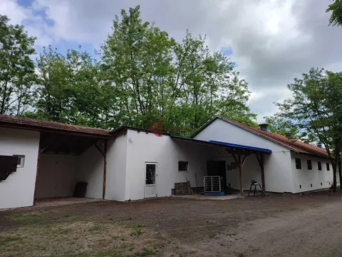 Prodaja, kuća, 228m², Kelebija, Subotica - image 11