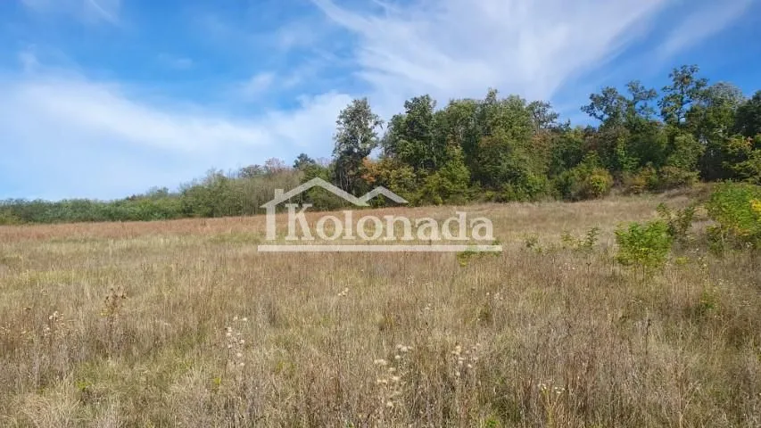 Prodaja, plac, 9500m², Parcani, Sopot